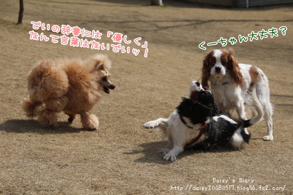 2012032804.jpg