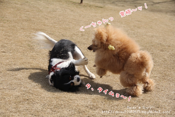 2012032805.jpg
