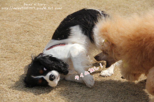 2012032806.jpg