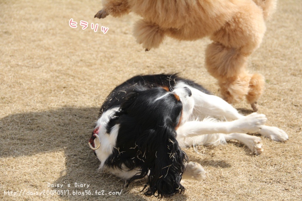 2012032807.jpg