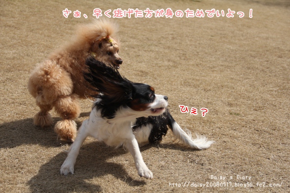 2012032808.jpg