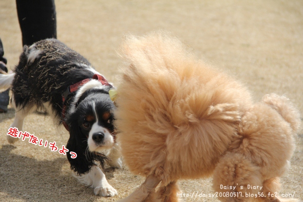 2012032809.jpg
