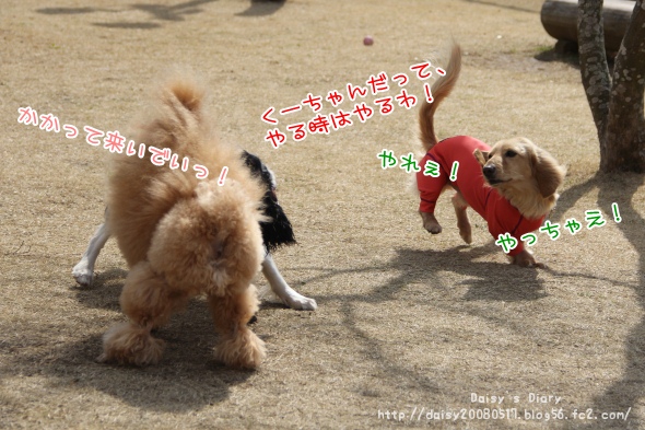 2012032810.jpg