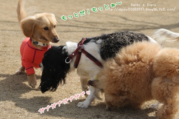 2012032811.jpg
