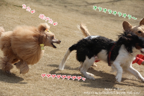2012032812.jpg