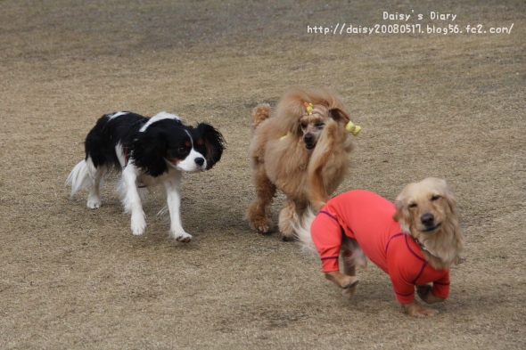 2012032813.jpg