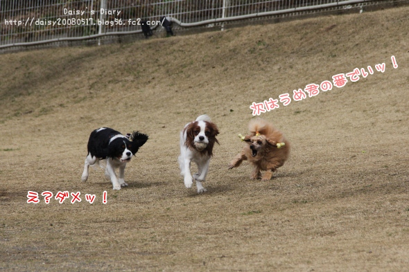 2012032814.jpg