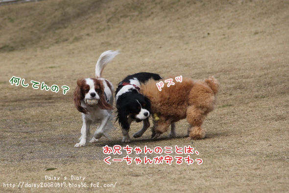 2012032815.jpg