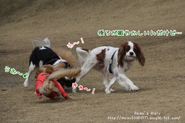 2012032816.jpg