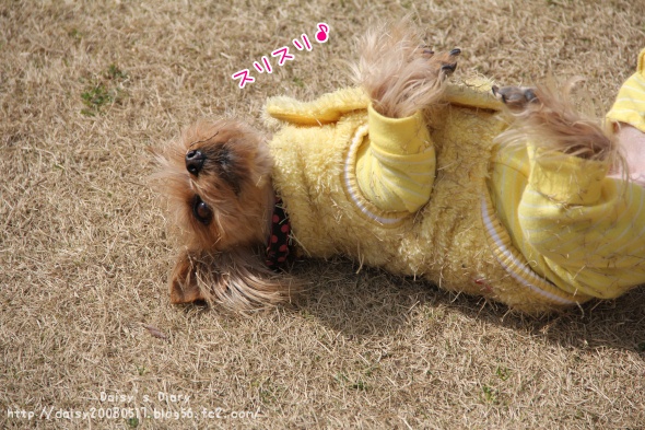 2012032817.jpg