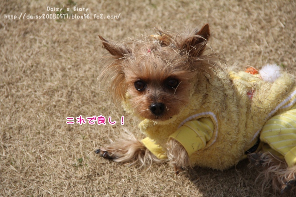2012032819.jpg