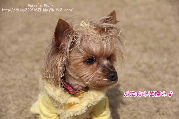 2012032820.jpg