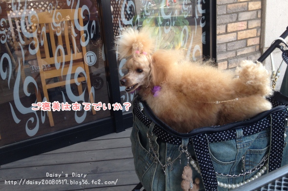 2012032901.jpg
