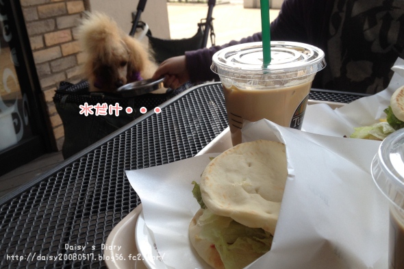 2012032902.jpg