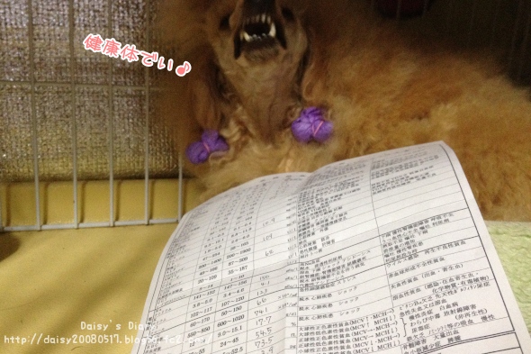 2012032903.jpg