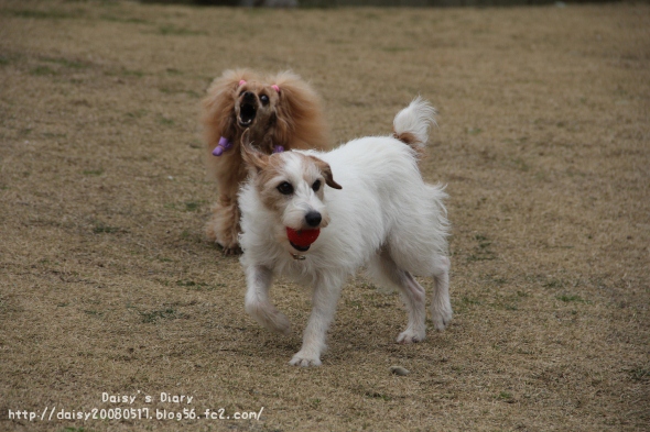2012033101.jpg