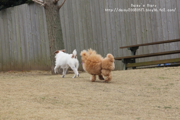 2012033102.jpg