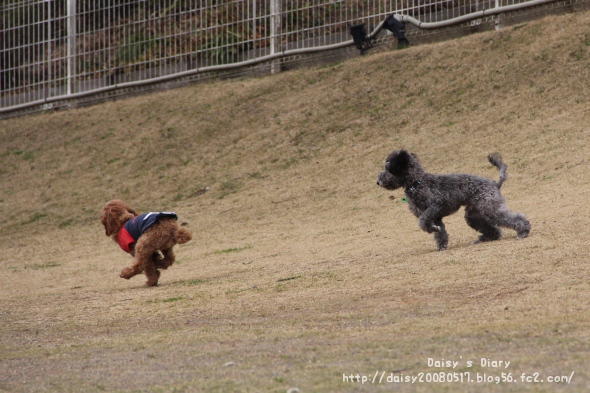 2012033103.jpg