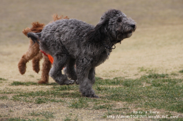 2012033104.jpg