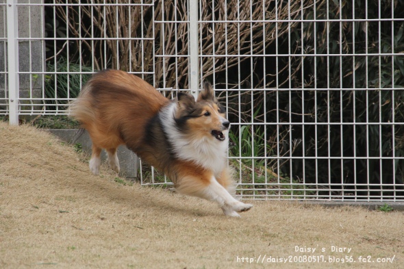 2012033105.jpg