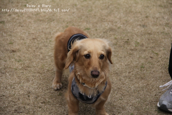 2012033106.jpg