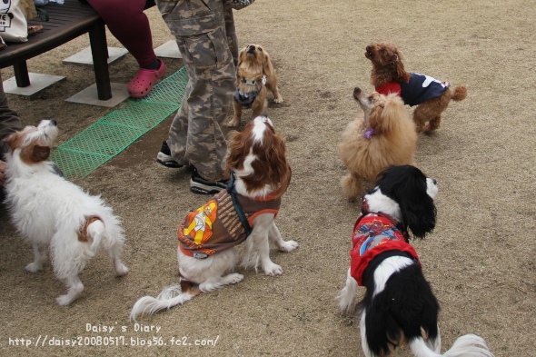 2012033107.jpg