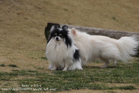 2012033108.jpg
