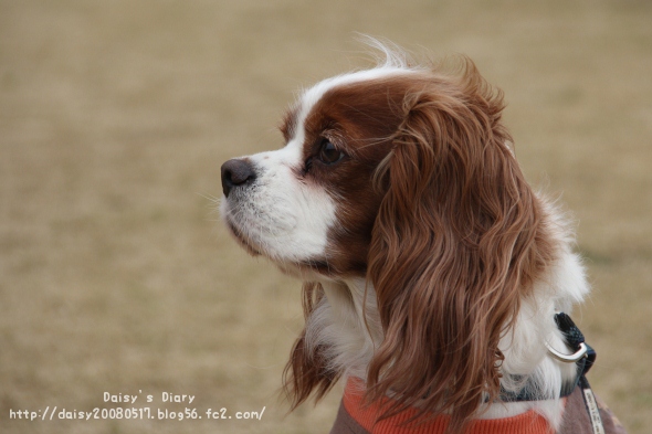 2012033109.jpg