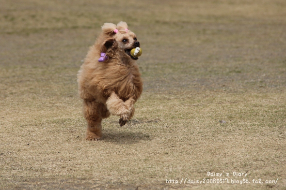 2012033110.jpg