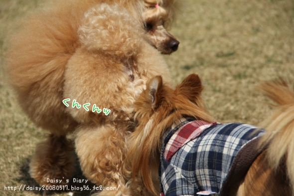 2012033111.jpg