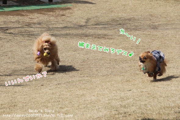 2012033112.jpg