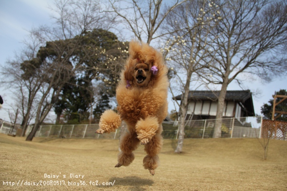 2012033113.jpg