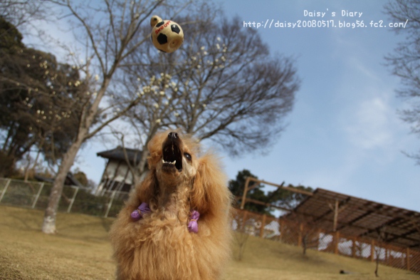 2012033114.jpg