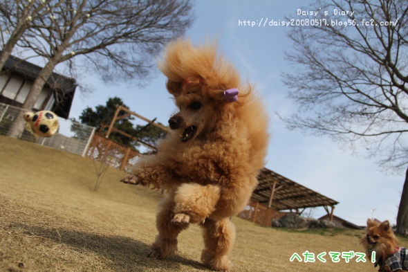 2012033115.jpg