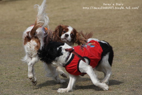 2012033116.jpg