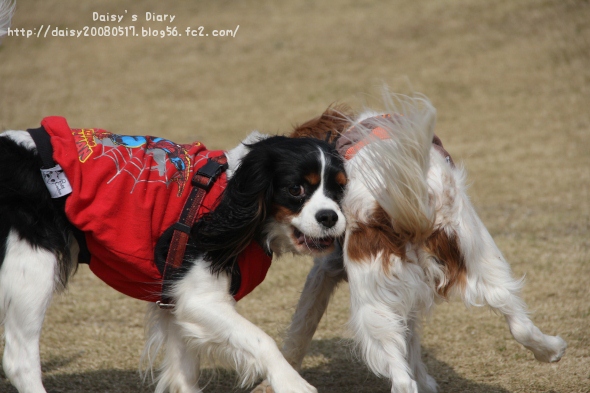 2012033117.jpg