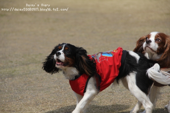 2012033118.jpg