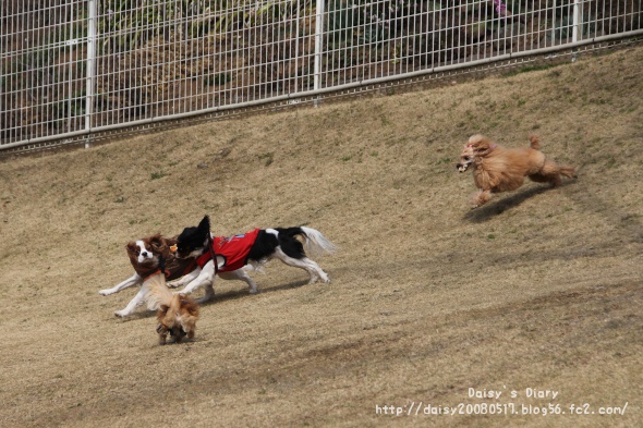 2012033119.jpg