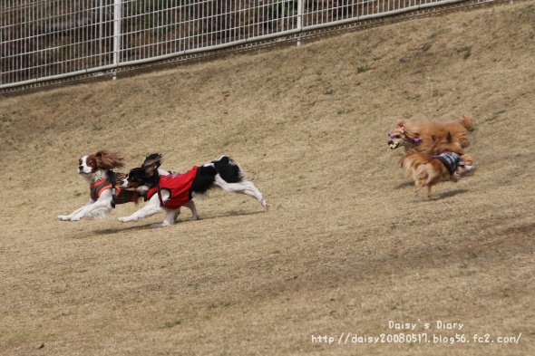 2012033120.jpg