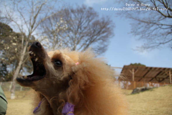 2012033121.jpg