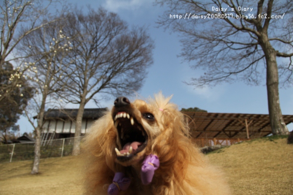 2012033122.jpg