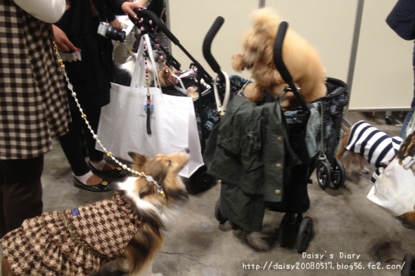 2012040101.jpg