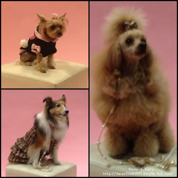 2012040103.jpg