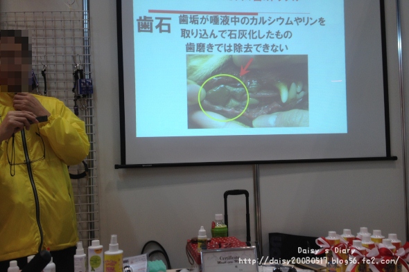 2012040107.jpg