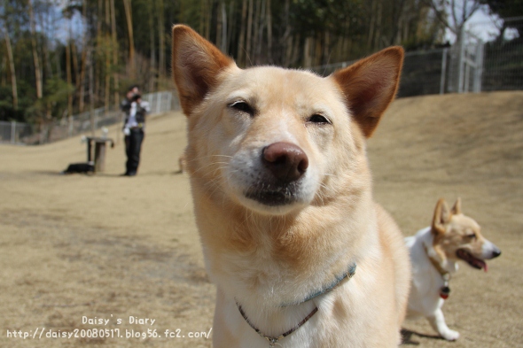 2012040201.jpg