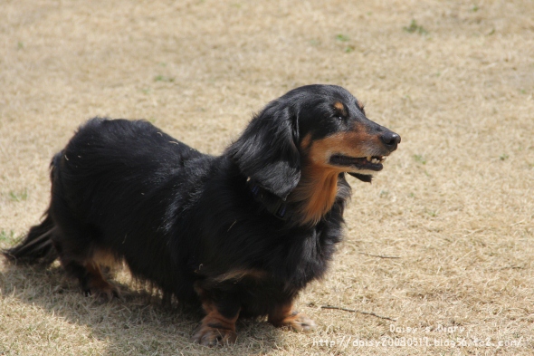 2012040202.jpg