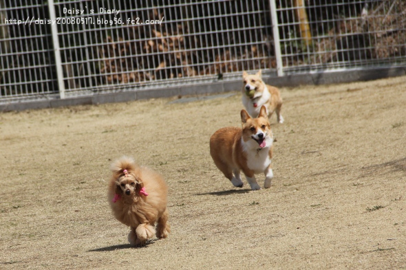 2012040203.jpg