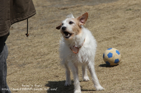 2012040204.jpg