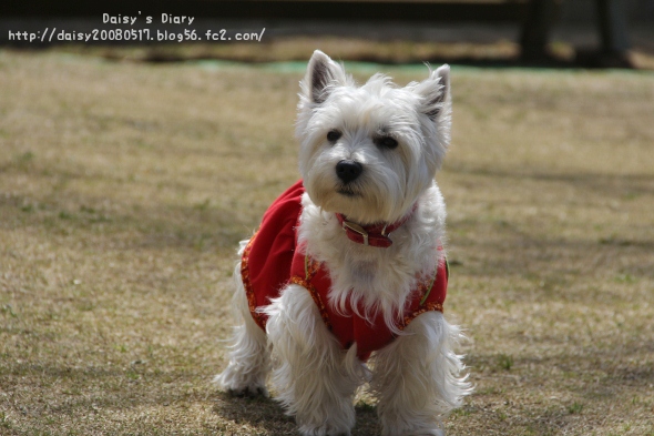 2012040206.jpg