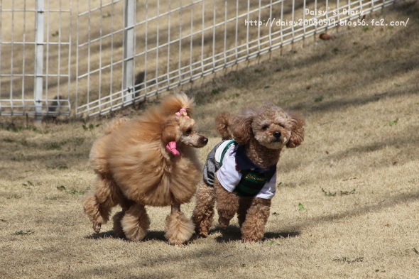 2012040207.jpg